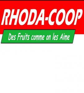 Rhoda coop