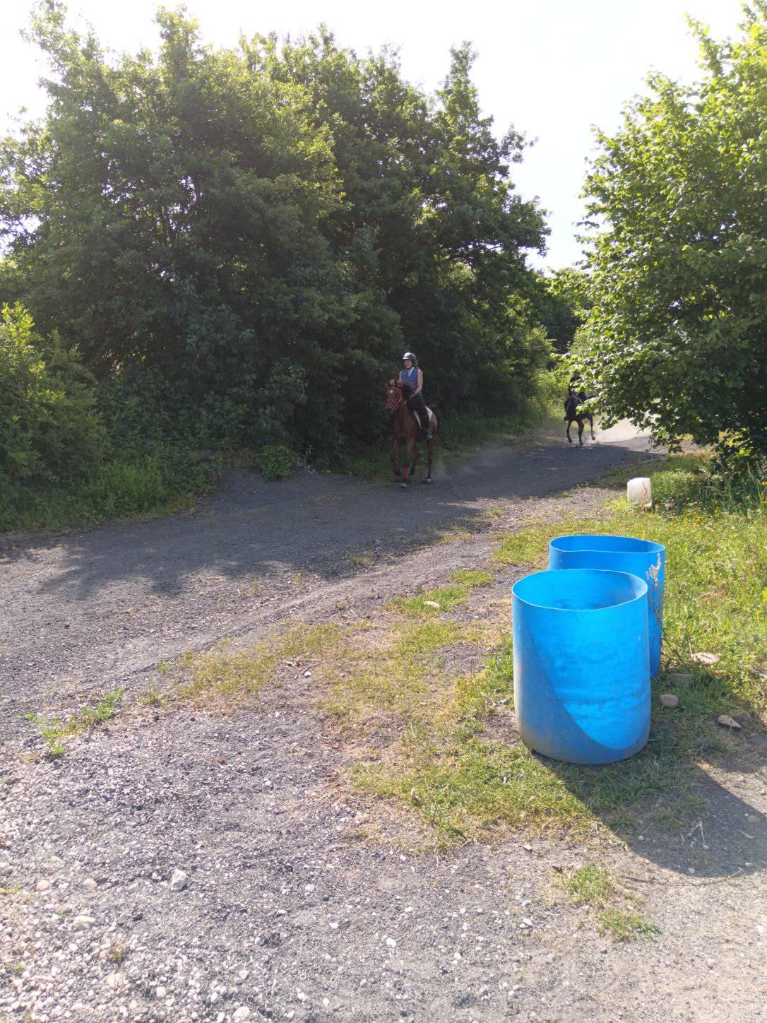 2025 06 03 seance galop